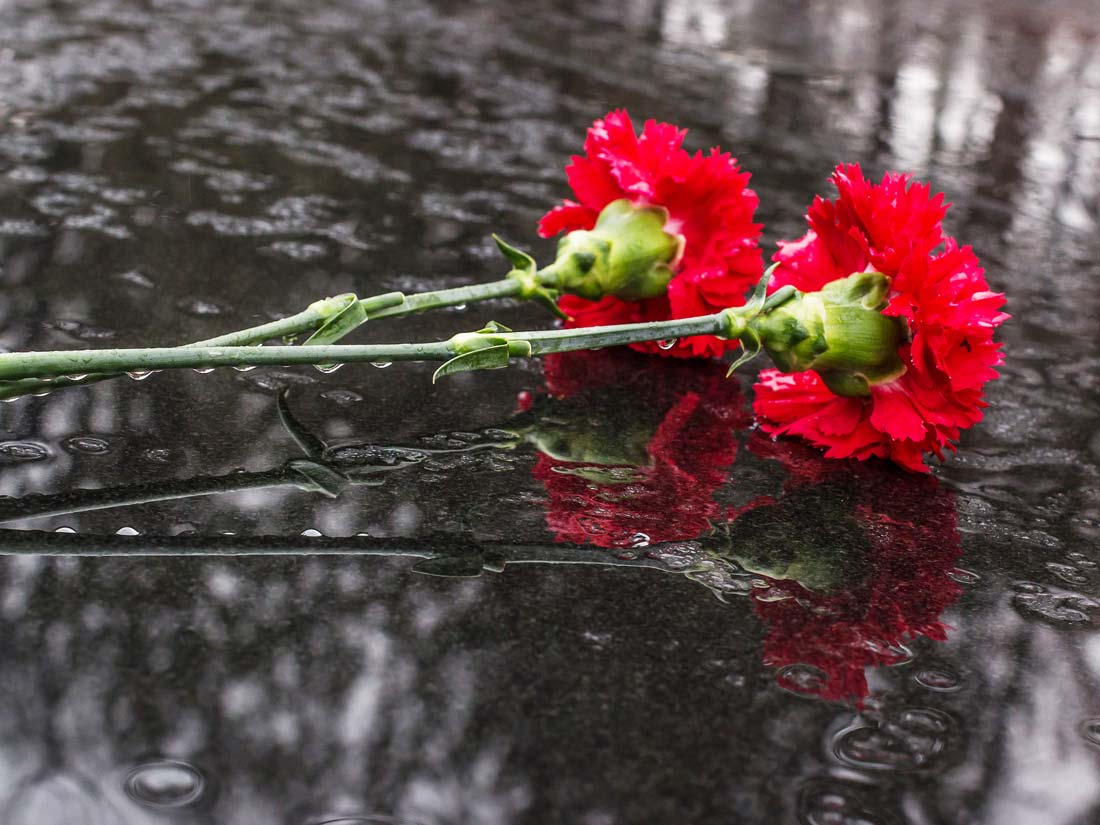 Important Points to Understanding Wrongful Death Lawsuits